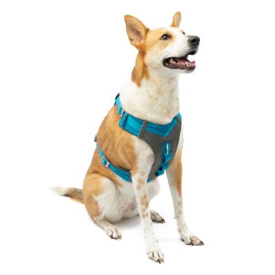 Kurgo Journey Reflective Air Dog Harness