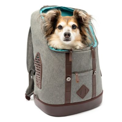 Kurgo K9 Rucksack