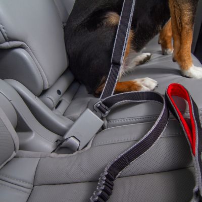 Steel Grey Collar to Harness Kurgo Dog Walking Leash Accessories Web Keeper Leash to Seatbelt Buckle Carabiner Clip Leash Latch Seatbelt Buckle for Dogs Leash Cleat Bungee Cord