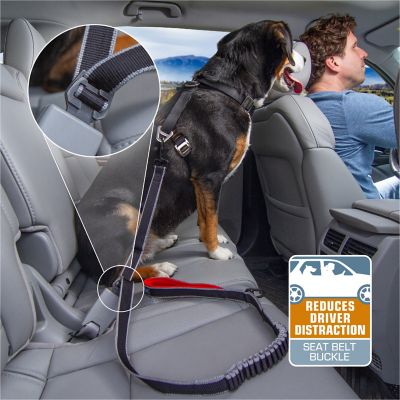 Steel Grey Carabiner Clip Leash to Seatbelt Buckle Seatbelt Buckle for Dogs Leash Latch Kurgo Dog Walking Leash Accessories Leash Cleat Web Keeper Collar to Harness Bungee Cord
