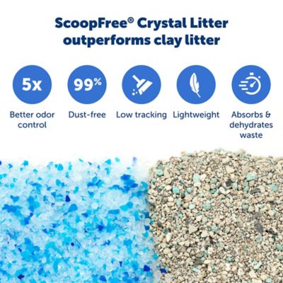 Image showing  Scoop-Free Disposable Crystal Litter Tray, Blue, 6 pk.