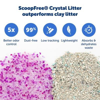 Image showing 5 th PetSafe Scoop-Free Disposable Crystal Litter Trays, Lavender, 3 pk.