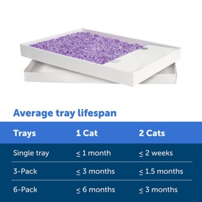Image showing 7 th PetSafe Scoop-Free Disposable Crystal Litter Trays, Lavender, 3 pk.