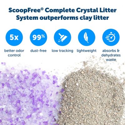 Image showing  Scoop-Free Cat Litter Box Tray Refills with Lavender Crystals, 6-Pack