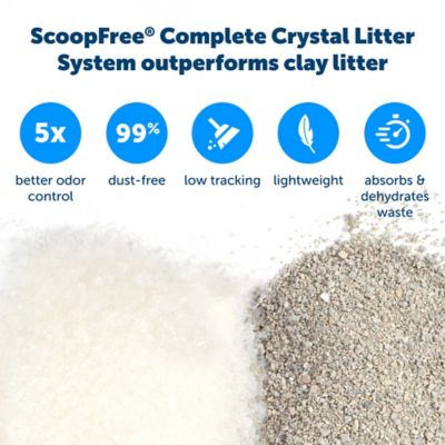 Image showing  ScoopFree Litter Box Tray Refills with Sensitive Crystals, 6-Pack