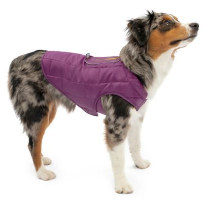 Kurgo Loft Dog Jacket