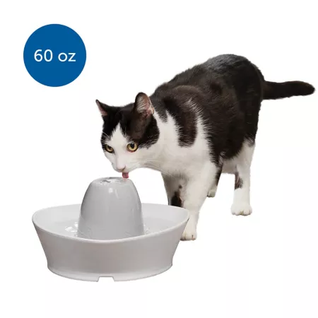 PetSafe Creekside Ceramic Pet Water Fountain Dishwasher Safe 7.5 Cup Pet Waterers & Fountains