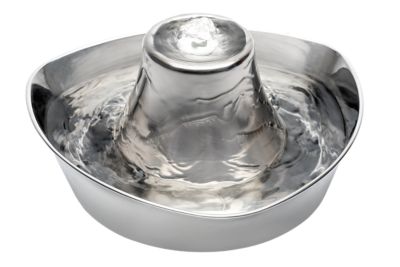 PetSafe Seaside Dishwasher Safe Stainless Steel Pet Water Fountain, 7.5 Cups