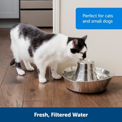Image showing 5 th PetSafe Seaside Stainless Pet Fountain, 60 oz.