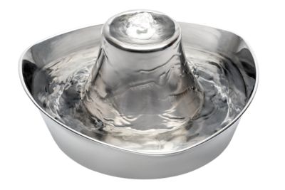 Image showing 7 th PetSafe Seaside Stainless Pet Fountain, 60 oz.