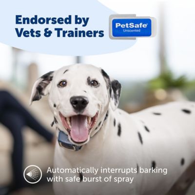 Image showing  Bark Control Collar Unscented Cartridge Spray Refills for Dogs, 3-Pack