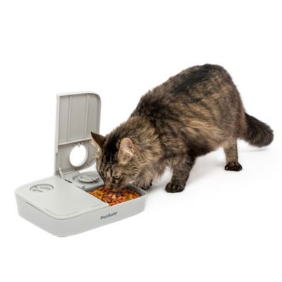 PetSafe Automatic 2-Meal Pet Feeder, 1.5 Cup Capacity