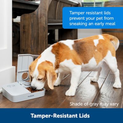 Image showing  1.5-Cup 2 Meal Automatic Plastic Pet Feeder