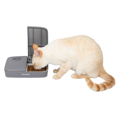 Image showing 6 th PetSafe Automatic 2 Meal Pet Feeder