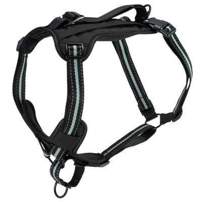 Petsafe Walk Along Reflective Outdoor Dog Harness At Tractor Supply Co