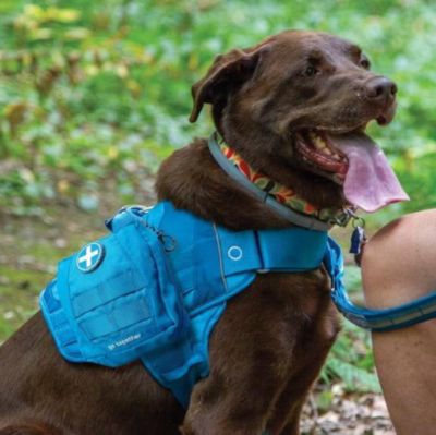 Image showing  RSG First Aid Kit for All Animals, 49 pc.