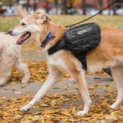 Image showing  RSG Dog Pack Pannier