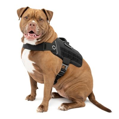 Chewy Designer Dog Backpack Harness | Supreme Dog Garage