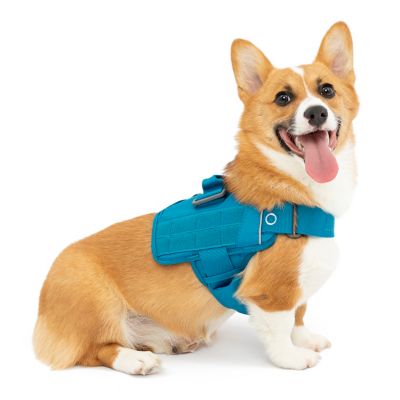 Kurgo RSG Townie Dog Harness