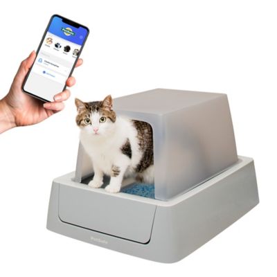 self cleaning litter box scoopfree