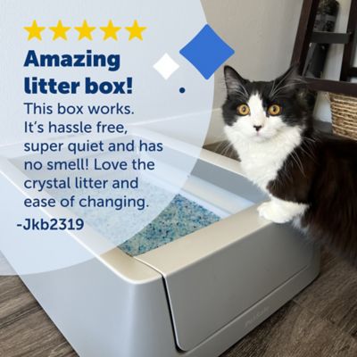 Image showing  ScoopFree Smart Covered Self-Cleaning Litter Box