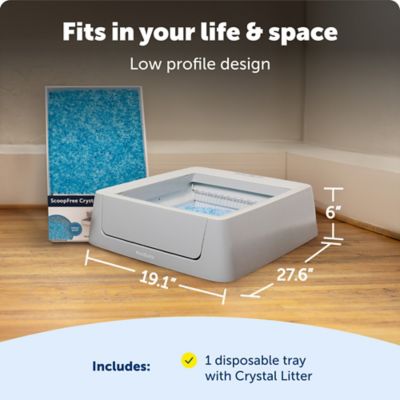 Image showing 6 th PetSafe ScoopFree Smart Self-Cleaning Litter Box