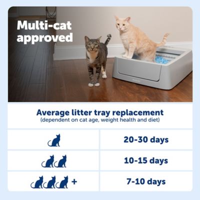 Image showing 7 th PetSafe ScoopFree Smart Self-Cleaning Litter Box