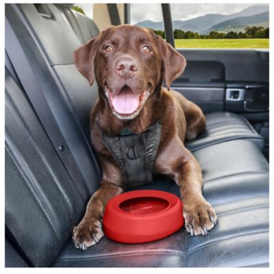Image showing  Splash-Free Dishwasher Safe Silicone Wander Water Pet Bowl, 24 oz.