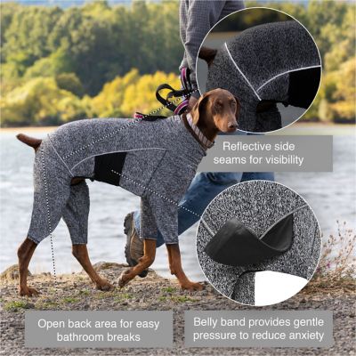 Image showing  Stowe Dog Base Layer