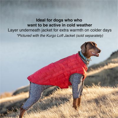 Image showing  Stowe Dog Base Layer