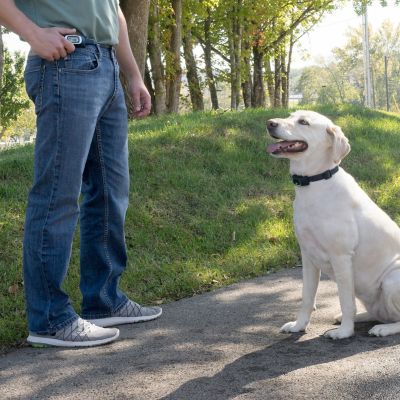 Image showing 5 th PetSafe Remote Trainer Transmitter Belt Clip for PetSafe 100, 300, 600 and 900 Yard Remote Trainers and Lite Remote Trainers