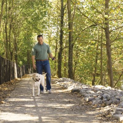 Image showing  Remote Dog Trainer Transmitter Hand Strap