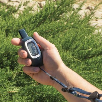 Image showing  Remote Transmitter Dog Trainer Lanyard