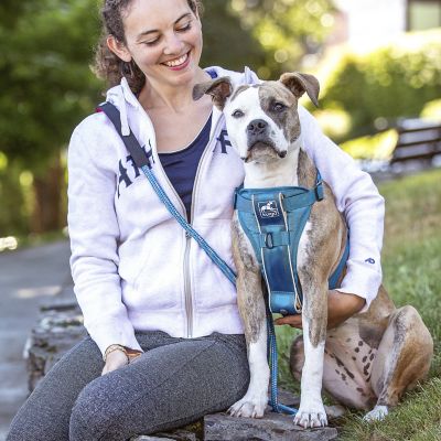 Image showing  Tru-Fit Smart Dog Harness with Quick-Release and Seatbelt Tether