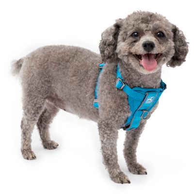 Kurgo Tru-Fit Smart Dog Harness with Quick-Release and Seatbelt Tether