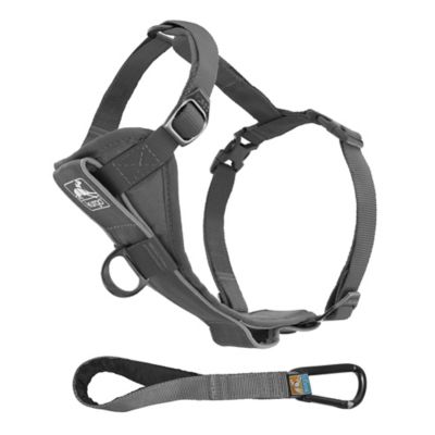 Image showing 7 th Kurgo Tru-Fit Smart Dog Harness with Quick-Release and Seatbelt Tether