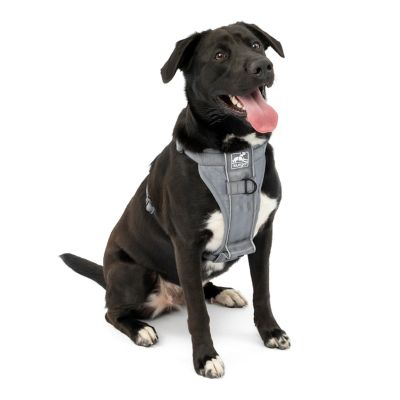 Kurgo Tru-Fit Smart Dog Harness Quick Release with Seatbelt Tether