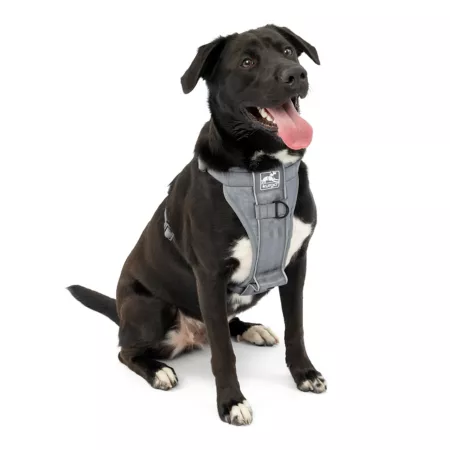 Kurgo Tru-Fit Quick-Release Smart Dog Harness with Seat Belt Attachment Dog Sport Harnesses