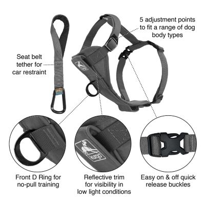 Image showing  Tru-Fit Smart Dog Harness with Quick-Release and Seatbelt Tether