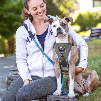 Image showing  Tru-Fit Smart Dog Harness with Quick-Release and Seatbelt Tether