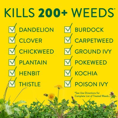 Image showing  Lawn Weed Control