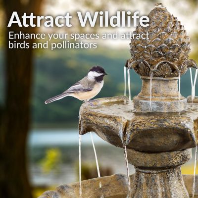 Image showing  Pineapple Solar Water Fountain with Battery Backup, Earth