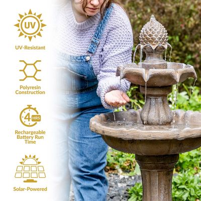 Image showing  Pineapple Solar Water Fountain with Battery Backup, Earth