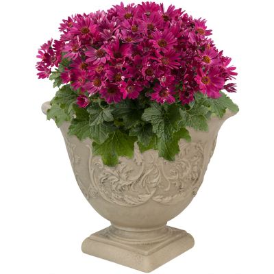 Sunnydaze Decor Resin Darcy Outdoor Flower Pot Planter, 16 in., Gray