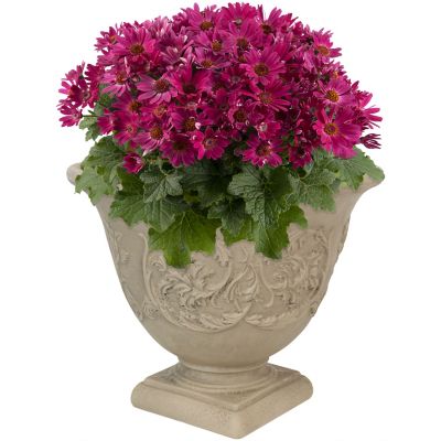 Sunnydaze Decor Indoor/Outdoor Weather-Resistant Double-Walled Darcy Flower Pot Planter - 16 in. - Beige - 1 Planter
