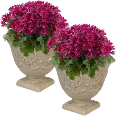 Sunnydaze Decor Indoor/Outdoor Weather-Resistant Double-Walled Darcy Flower Pot Planter, 16 in., Beige, 2pk