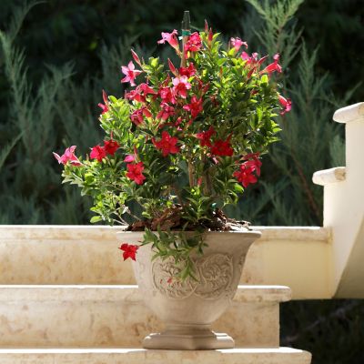 Image showing  Indoor/Outdoor Weather-Resistant Double-Walled Darcy Flower Pot Planter, 16 in., Beige, 4pk
