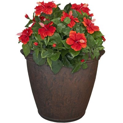 Sunnydaze Decor Polyresin Anjelica Outdoor Flower Pot Planter, 24 in., Rust I have large free roaming pet tortoises in my backyard so gardening in pots is a must