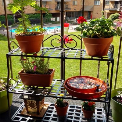 Image showing  3-Tier Iron Metal Potted Flower Plant Stand with Scrolled Back Design, 30 in., Black