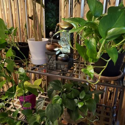 Image showing  3-Tier Iron Metal Potted Flower Plant Stand with Scrolled Back Design, 30 in., Black